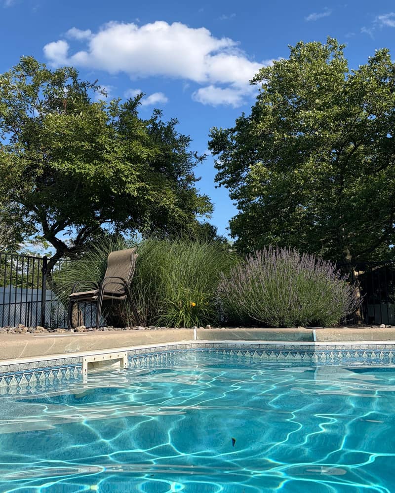 Backyard swimming pool with a tiled waterline and a skimmer opening, a patio chair, ornamental grass, and lavender along a black metal fence under shade trees